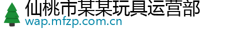 仙桃市某某玩具运营部